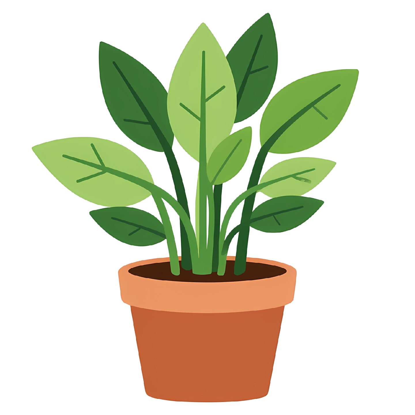 UGAOO Jade Plant - Image 2
