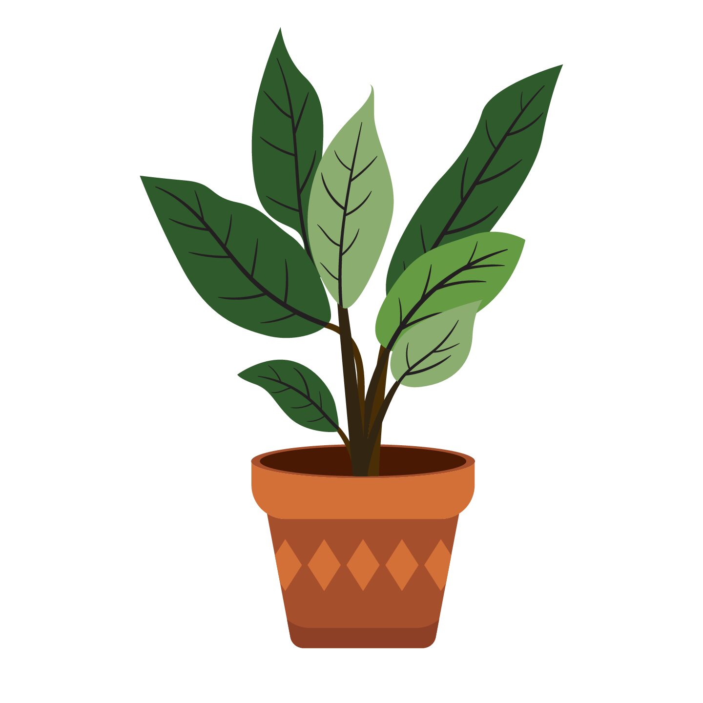 UGAOO Jade Plant - Image 3