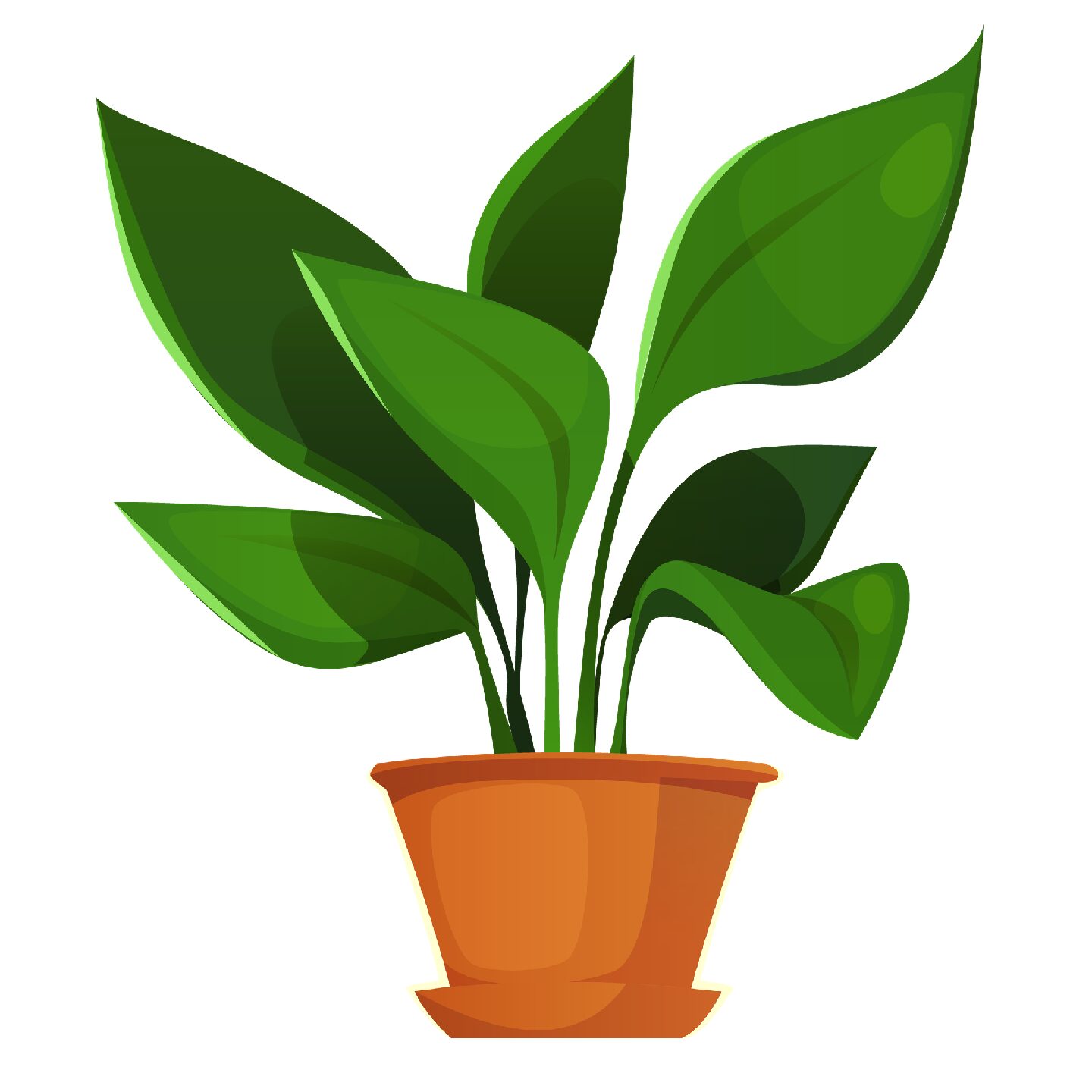 UGAOO Jade Plant - Image 4